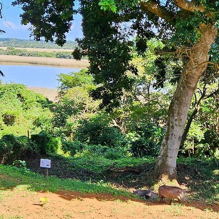 Saint Lucia EstuaryEstuary Views At 6 The Bridge公寓 外观 照片