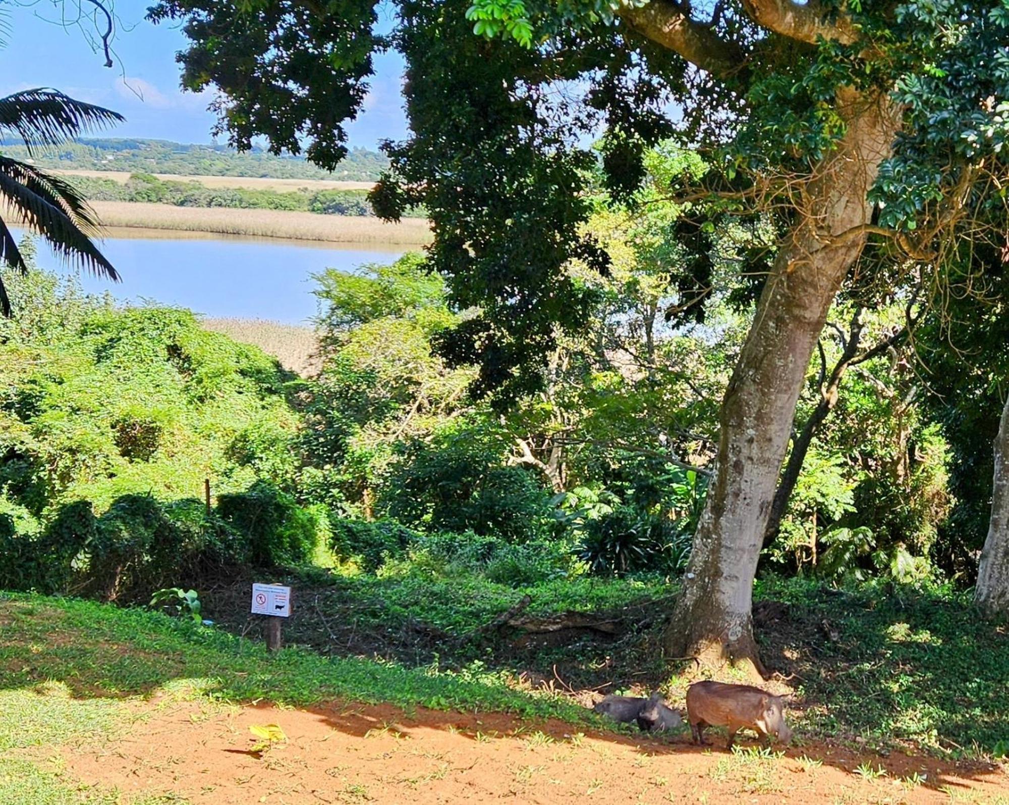 Saint Lucia EstuaryEstuary Views At 6 The Bridge公寓 外观 照片